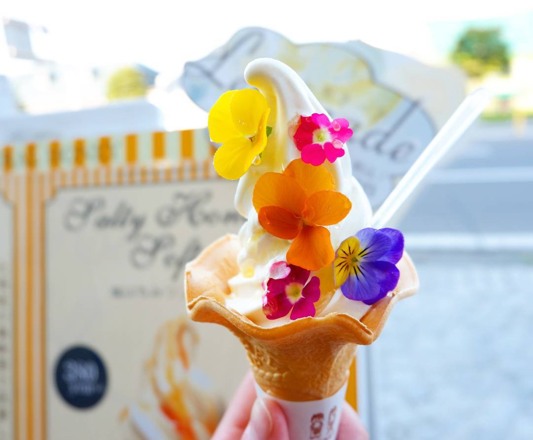 小樽にあるはちみつ屋！お花たっぷりソフトが可愛い「ナチュラルハニー」とは